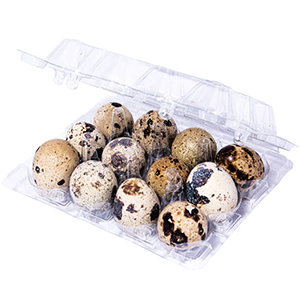 تخم مرغ بلدر چین