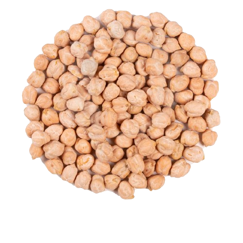 نخود ایرانی