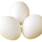 تخم مرغ ایرانی