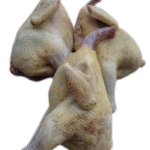 مرغ پاک شده فی کیلو