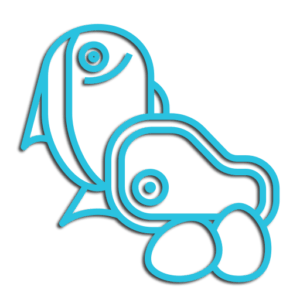 گوشت و تخم مرغ