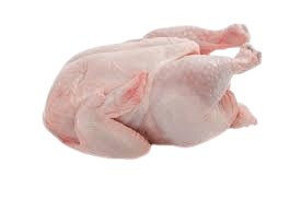 مرغ درست فی کیلو